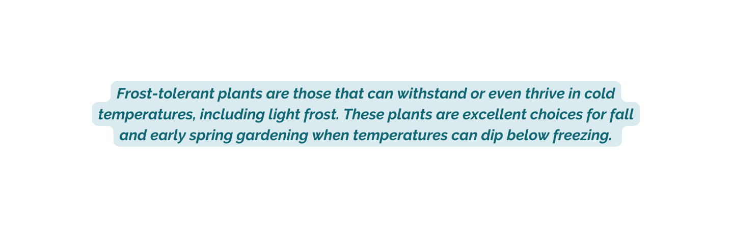 Frost tolerant plants are those that can withstand or even thrive in cold temperatures including light frost These plants are excellent choices for fall and early spring gardening when temperatures can dip below freezing