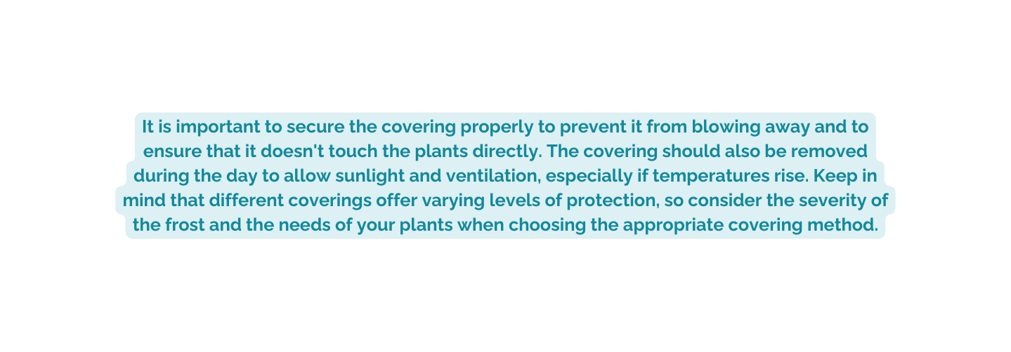 It is important to secure the covering properly to prevent it from blowing away and to ensure that it doesn t touch the plants directly The covering should also be removed during the day to allow sunlight and ventilation especially if temperatures rise Keep in mind that different coverings offer varying levels of protection so consider the severity of the frost and the needs of your plants when choosing the appropriate covering method